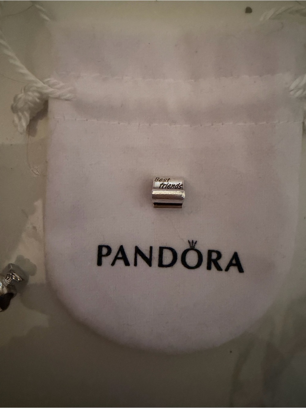 Pandora Silver 'Best Friends' Sterling Spacer Charm